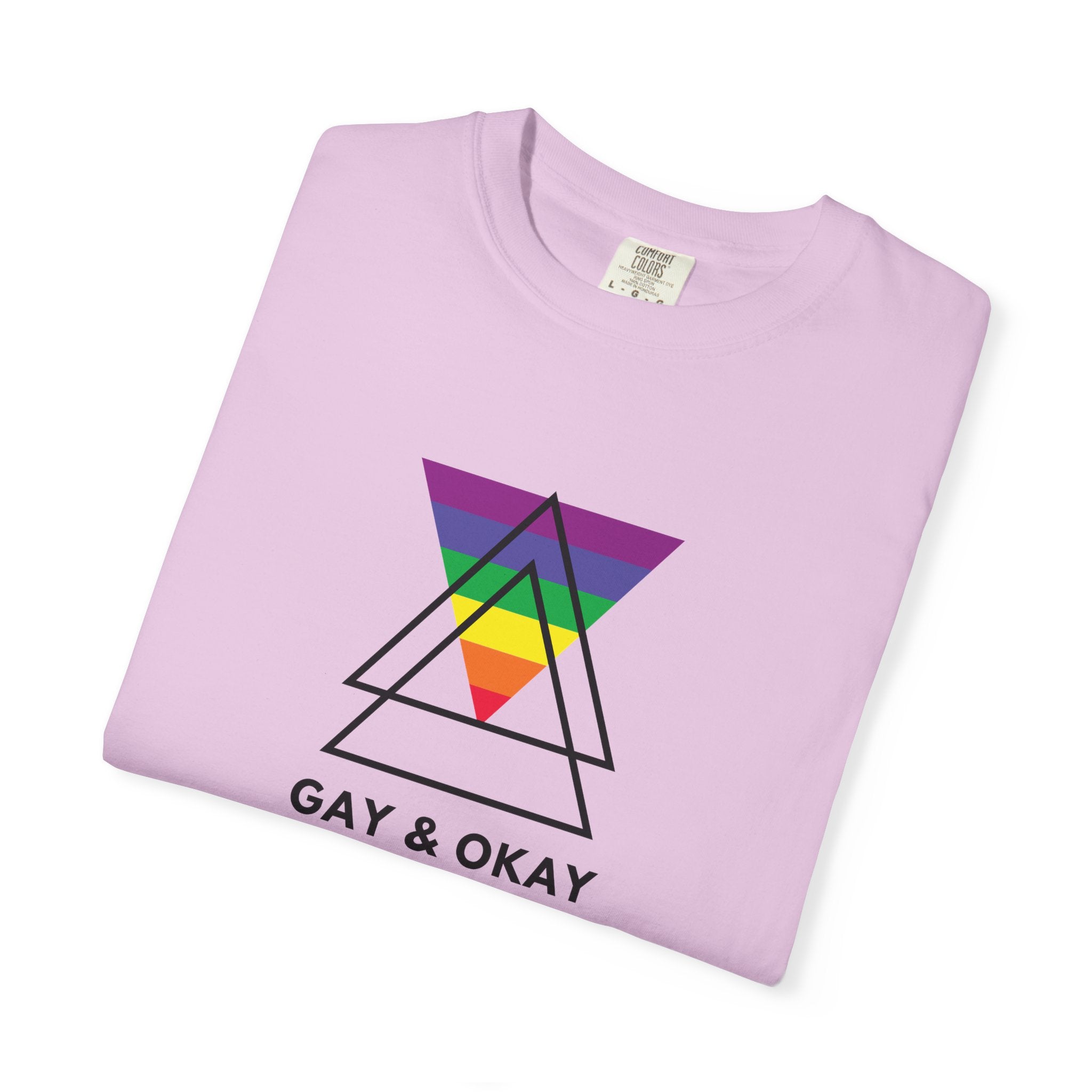 Gay & Okay Pride T-Shirt