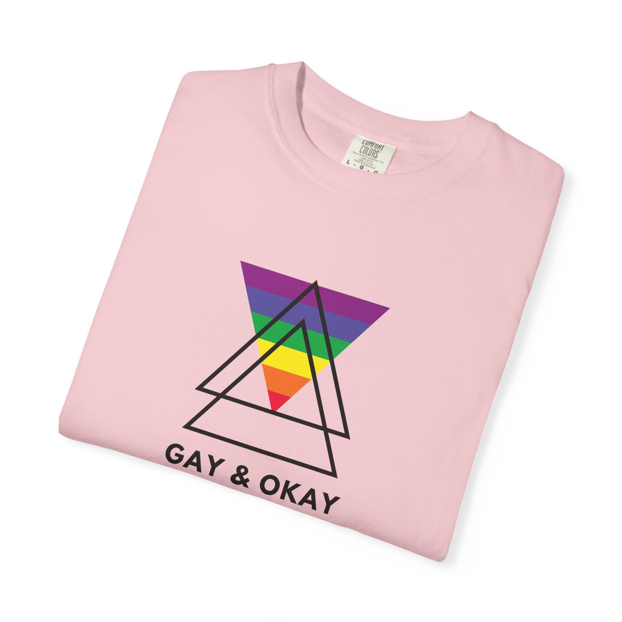 Gay & Okay Pride T-Shirt