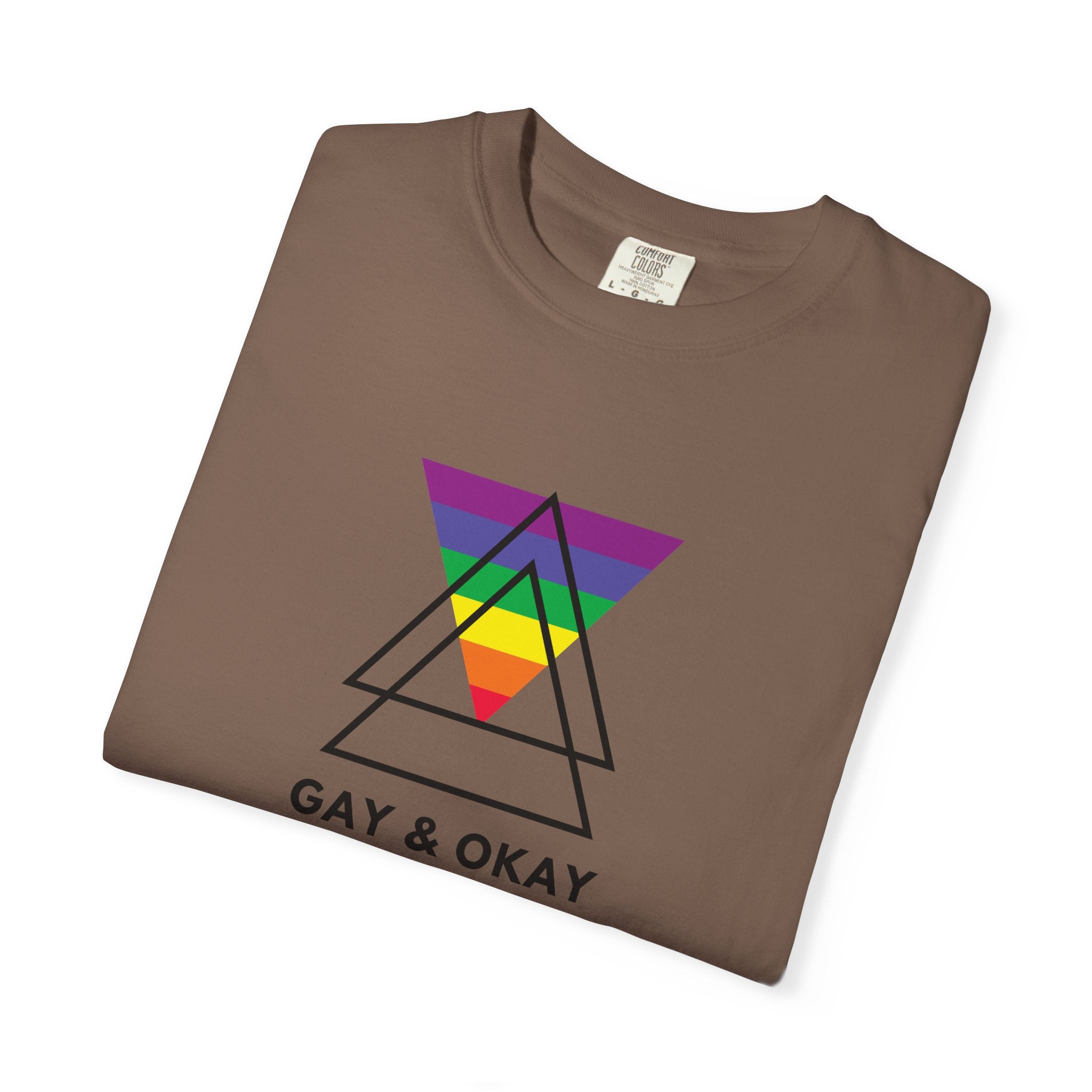 Gay & Okay Pride T-Shirt