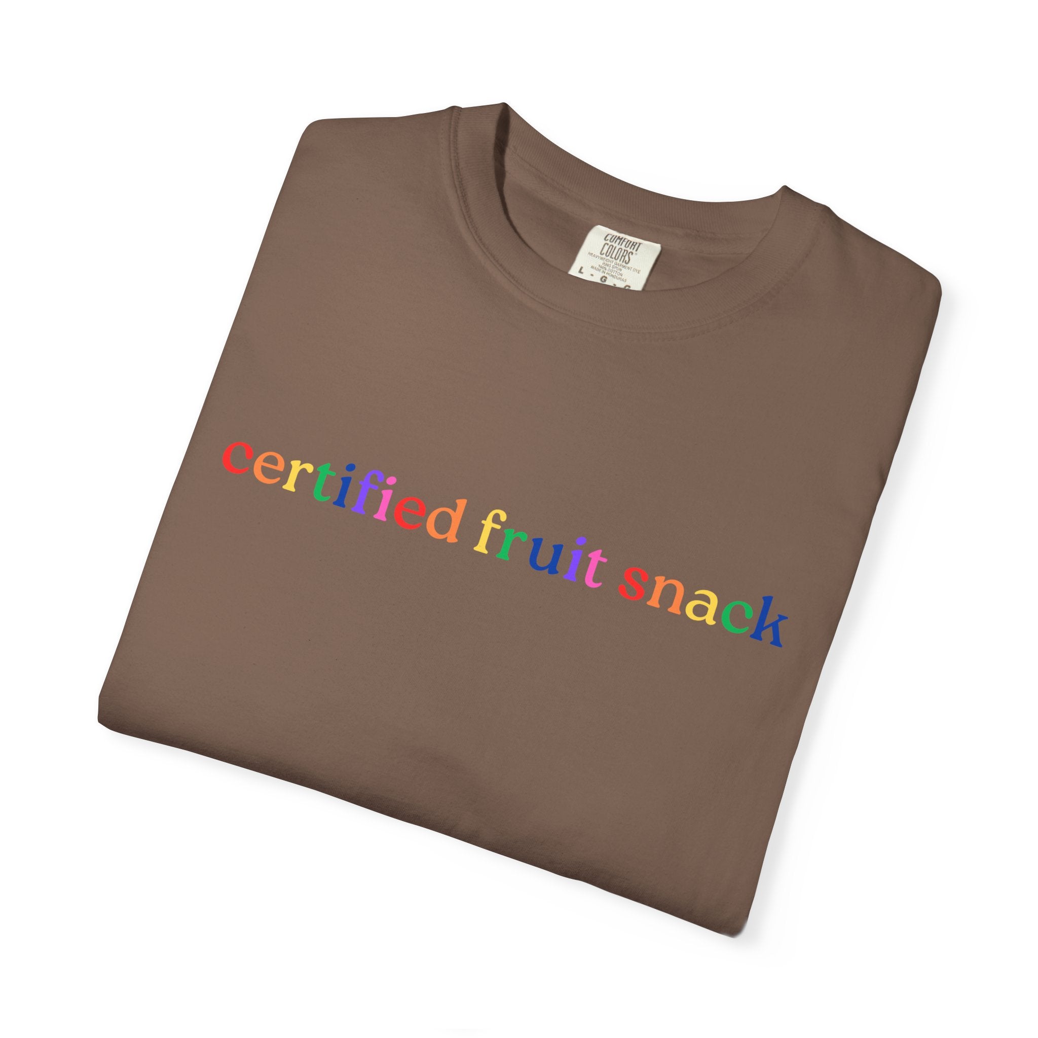 Certified Fruit Snack T-Shirt — Rainbow Text Casual Tee